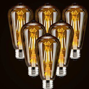 LED Edison Bulbs New